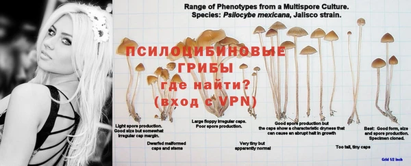 мет Козловка