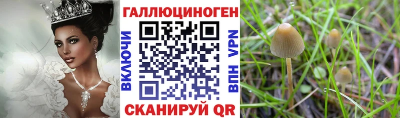Псилоцибиновые грибы ЛСД  что такое   Назрань 